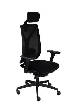 Professional office chair Valio for home and office